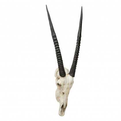 Toscano - Gemsbok African Wall Trophy
