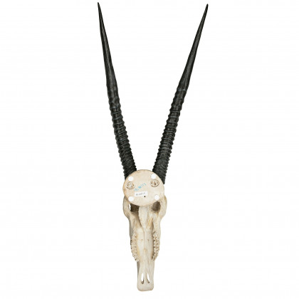 Toscano - Gemsbok African Wall Trophy