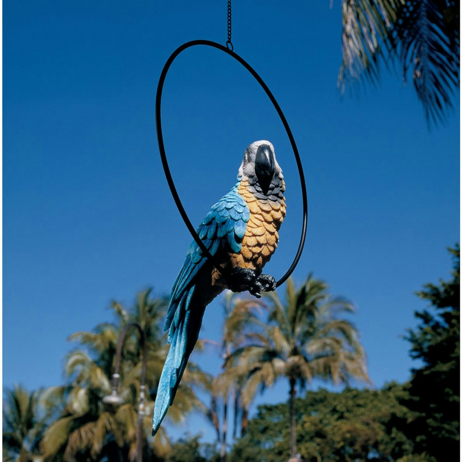 Toscano Polly in Paradise Parrot on Ring Perch - Large