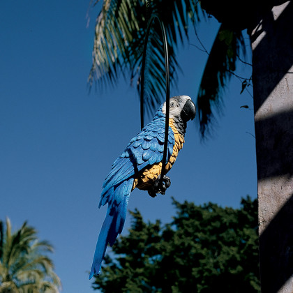 Toscano Polly in Paradise Parrot on Ring Perch - Large