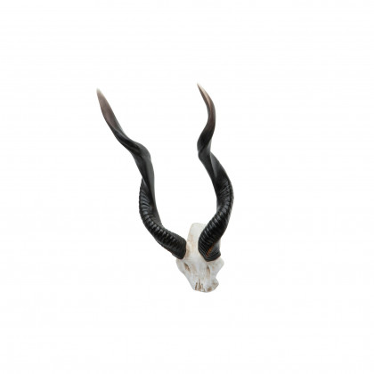 Toscano - Kudu African Wall Trophy