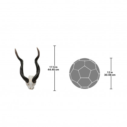 Toscano - Kudu African Wall Trophy