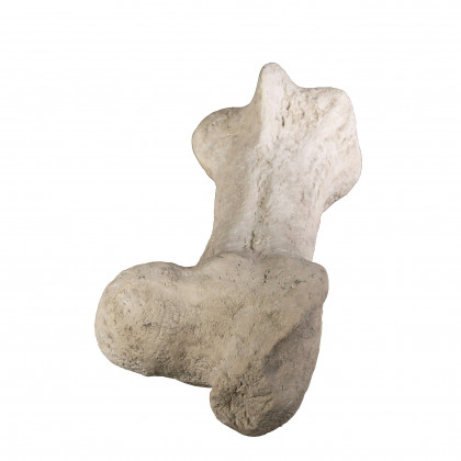 Toscano - Gigantic Dinosaur Bone Statue