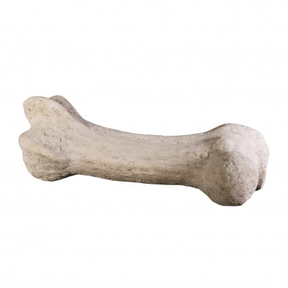 Toscano - Gigantic Dinosaur Bone Statue