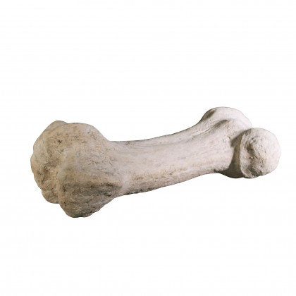 Toscano - Gigantic Dinosaur Bone Statue