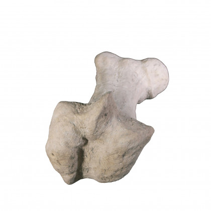 Toscano - Gigantic Dinosaur Bone Statue