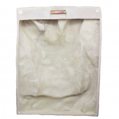 Toscano - Torso of Adonis Bas-Relief Frieze Wall Sculpture