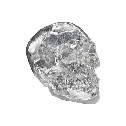 Toscano - Wisdom Journey Faux Crystal Skull Statue