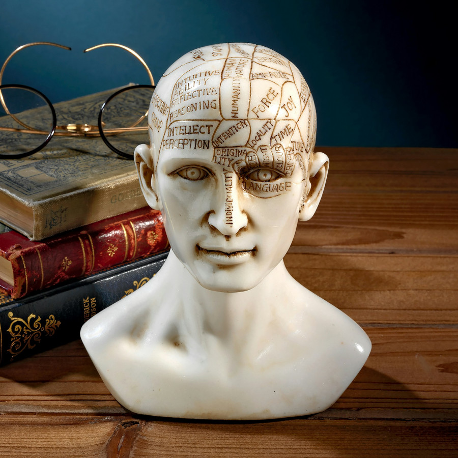 Toscano - Phrenology the Science of the Brain Victorian Replica Statue