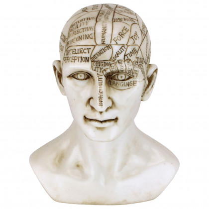 Toscano - Phrenology the Science of the Brain Victorian Replica Statue