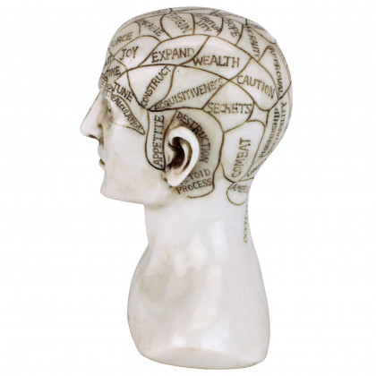 Toscano - Phrenology the Science of the Brain Victorian Replica Statue