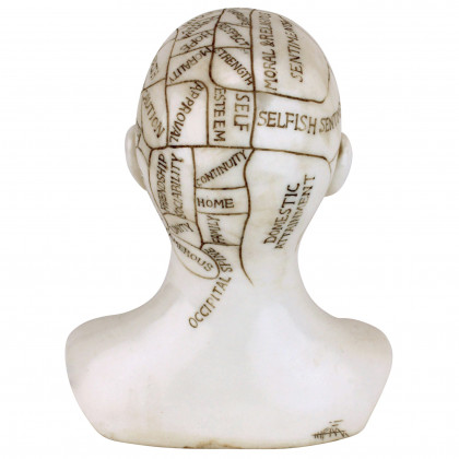 Toscano - Phrenology the Science of the Brain Victorian Replica Statue
