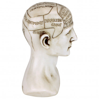 Toscano - Phrenology the Science of the Brain Victorian Replica Statue