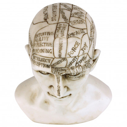 Toscano - Phrenology the Science of the Brain Victorian Replica Statue
