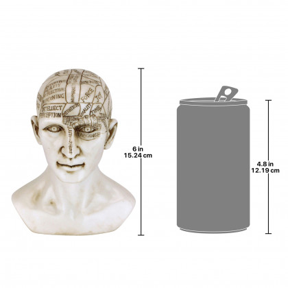 Toscano - Phrenology the Science of the Brain Victorian Replica Statue