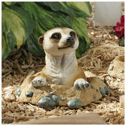 Toscano Kalahari Meerkat Statue - Out of Hole