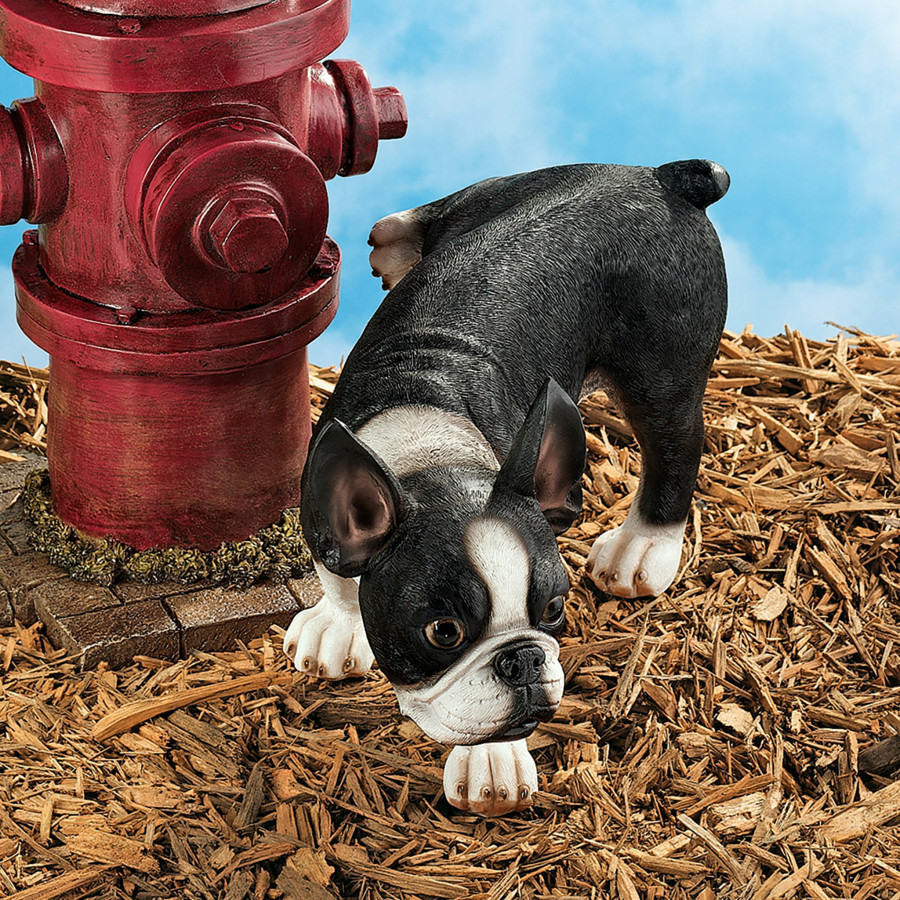 Toscano - Lifting a Leg Naughty Boston Terrier Dog Statue