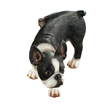 Toscano - Lifting a Leg Naughty Boston Terrier Dog Statue