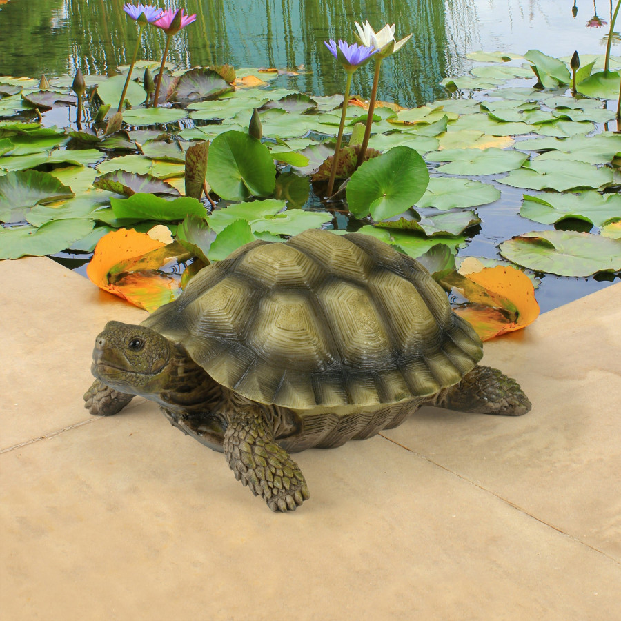 Toscano - Gilbert the Box Turtle Statue