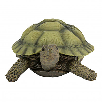 Toscano - Gilbert the Box Turtle Statue