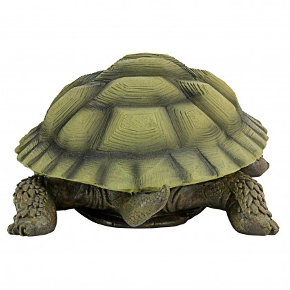 Toscano - Gilbert the Box Turtle Statue