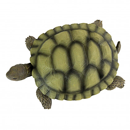 Toscano - Gilbert the Box Turtle Statue