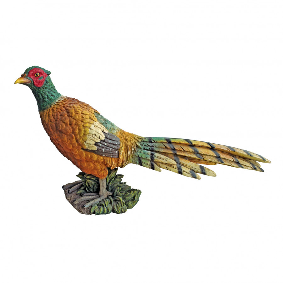Toscano - Standing Pheasant Game Bird Statue