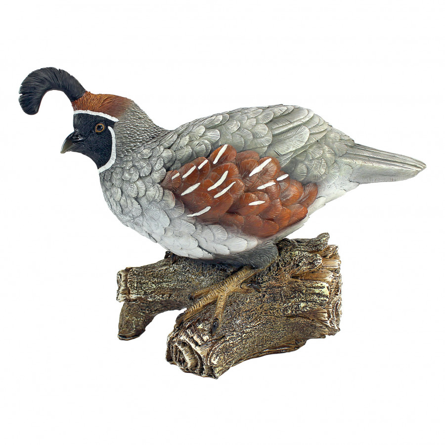 Toscano - Cocothe Quail Bird Statue