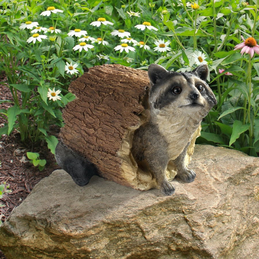 Toscano - Banditthe Raccoon Statue