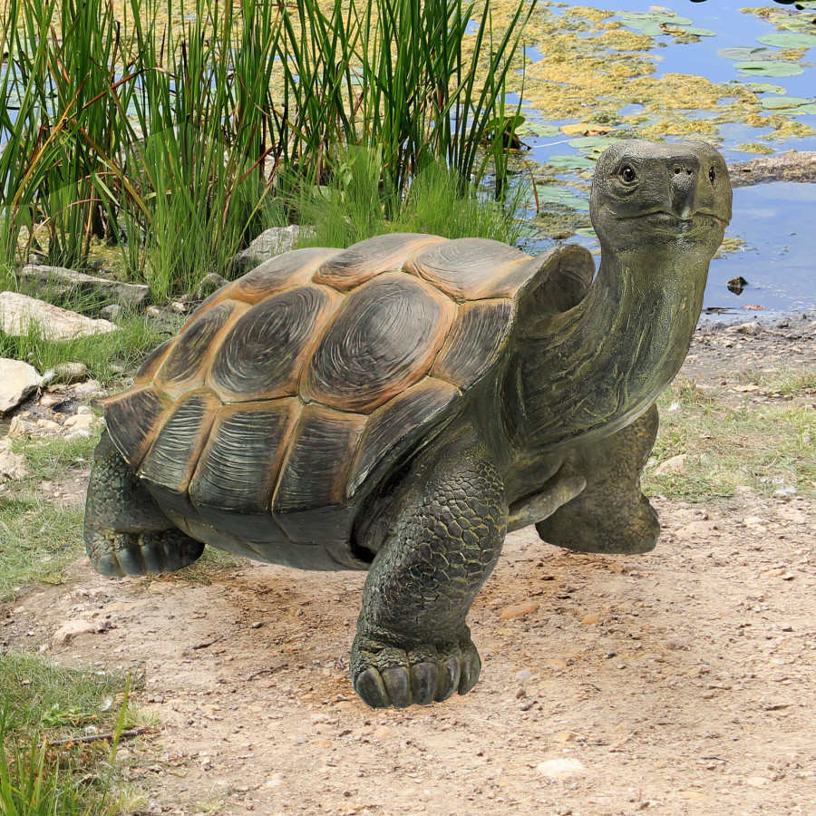 Toscano - The Curious Turtle Elephant Tortoise Statue