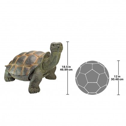 Toscano - The Curious Turtle Elephant Tortoise Statue