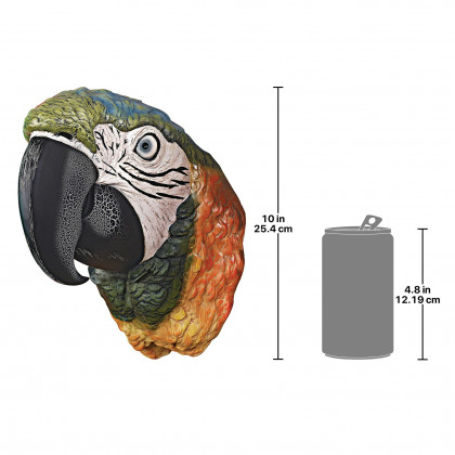 Toscano - Paradise Parrot Head Bird Wall Sculpture