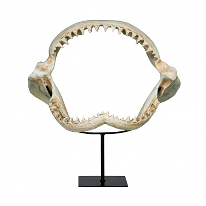Toscano - Shark Jagged Jaws Statue