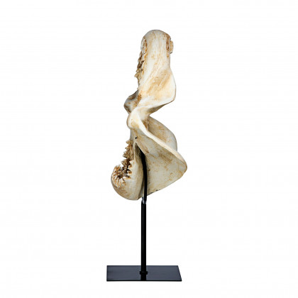 Toscano - Shark Jagged Jaws Statue