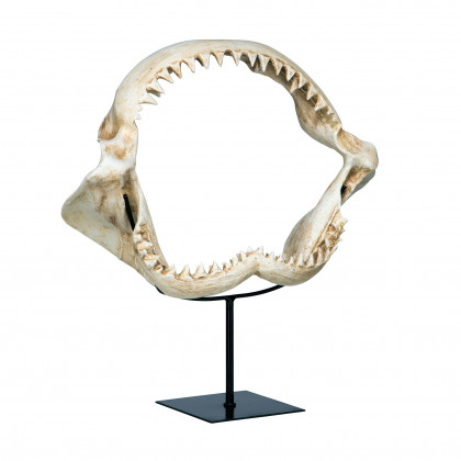 Toscano - Shark Jagged Jaws Statue