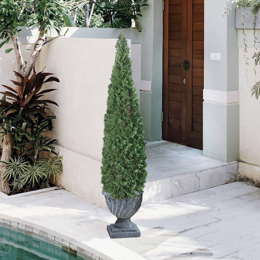 Toscano Cone Topiary Tree Collection - Large