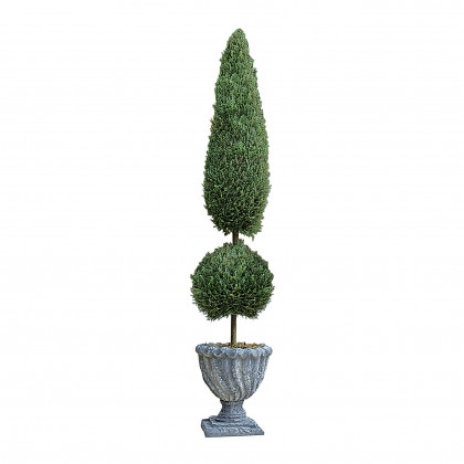 Toscano Classic Topiary Tree Collection - Large