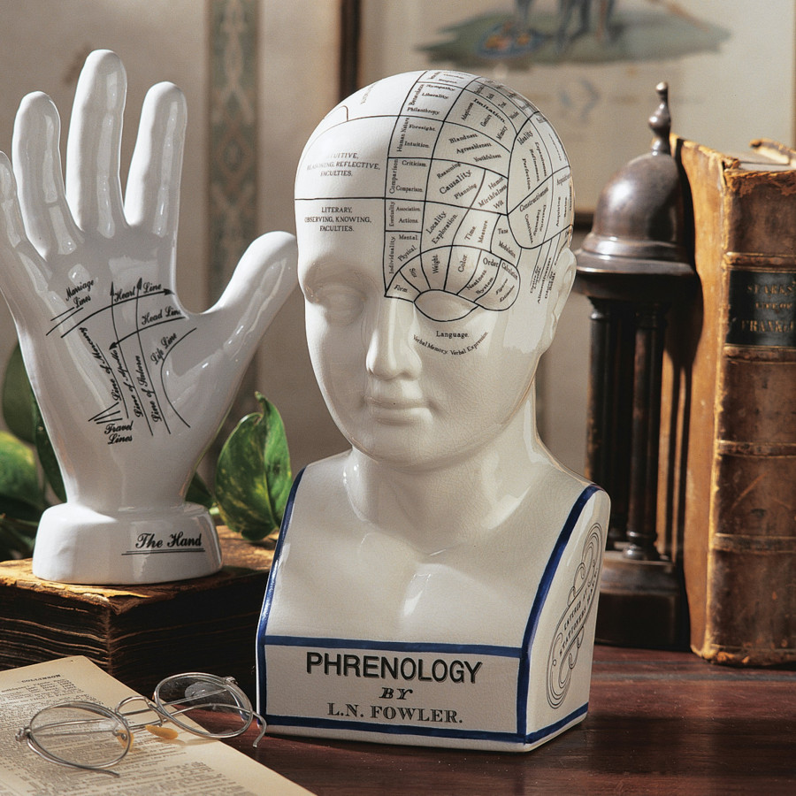 Toscano - Porcelain Phrenology Head Bust Statue