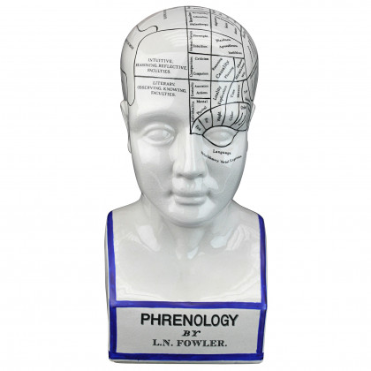 Toscano - Porcelain Phrenology Head Bust Statue