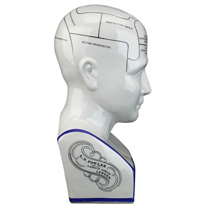 Toscano - Porcelain Phrenology Head Bust Statue