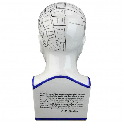 Toscano - Porcelain Phrenology Head Bust Statue