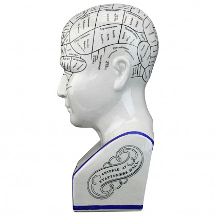 Toscano - Porcelain Phrenology Head Bust Statue