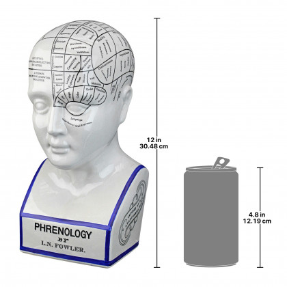Toscano - Porcelain Phrenology Head Bust Statue