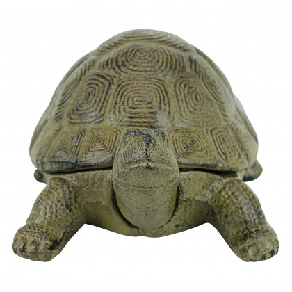 Toscano - Aesop Turtle Statue