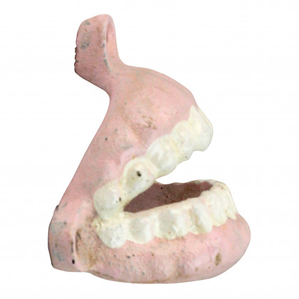 Toscano - False Teeth Bottle Opener