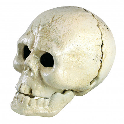 Toscano - Pop Your Top Skeleton Skull Bottle Opener