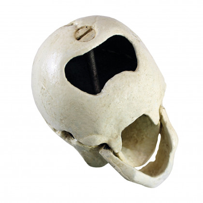 Toscano - Pop Your Top Skeleton Skull Bottle Opener