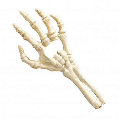 Toscano - The Skeleton Hand of Destiny Bottle Opener