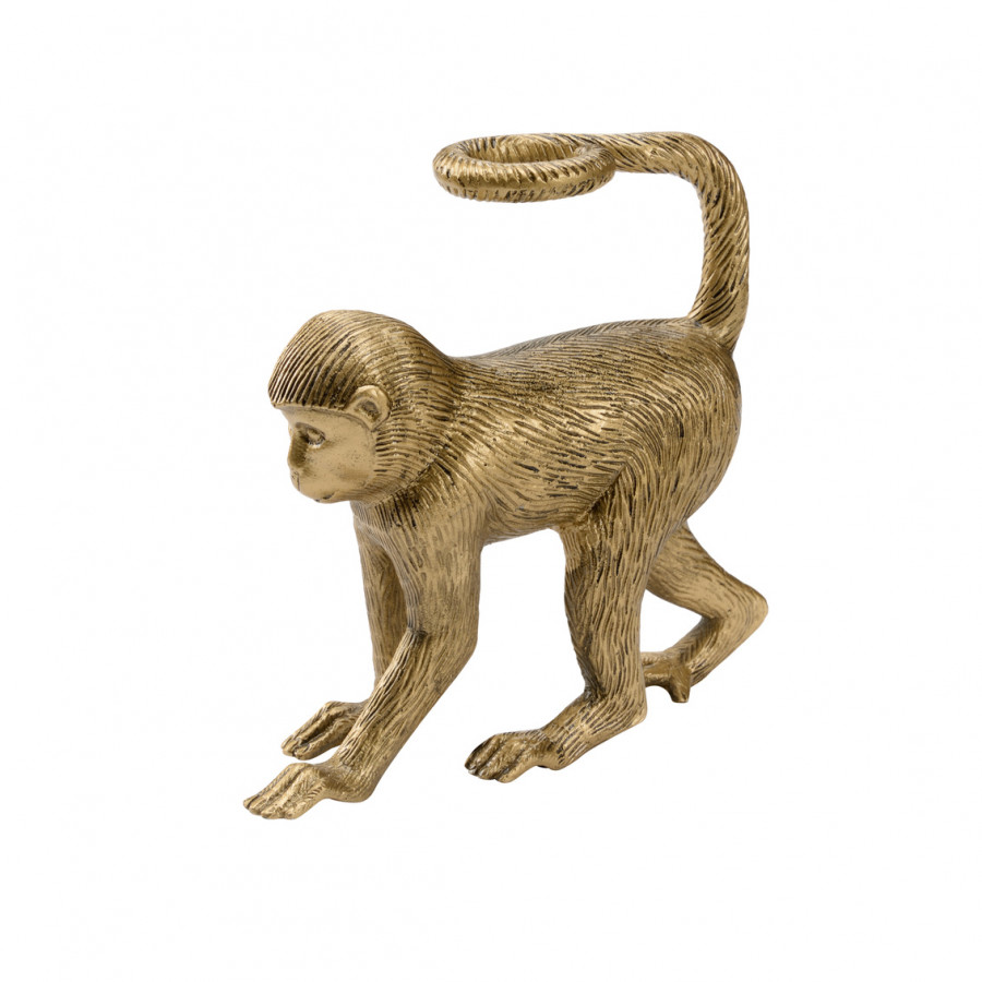 Wildwood - Monkey Business
