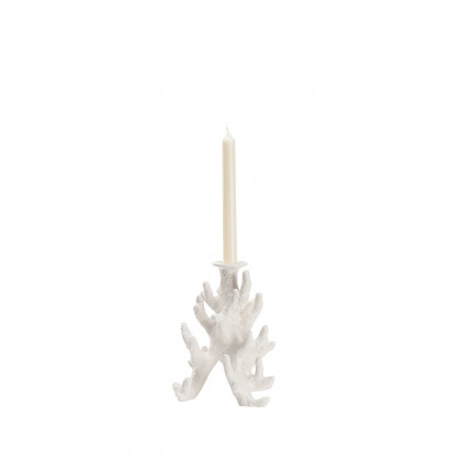 Wildwood - Coral Candleholder